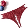 Cardinal Red