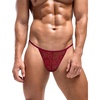 Dark Red